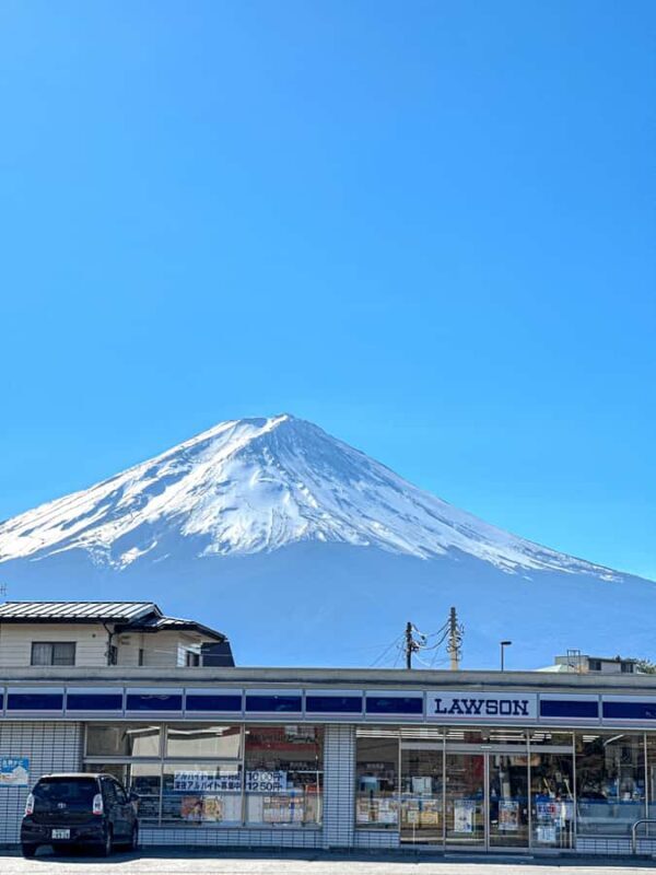 Tokyo: Mt. Fuji 5th Popular Spots and Sagamiko Illumination - Who Should Consider This Tour?