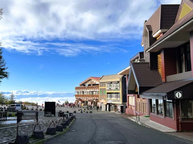 Tokyo: Mt. Fuji 5th Sta. & Autumn Festival Tour with lunch - Final Thoughts