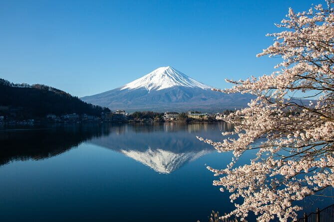 Tokyo: Mt.Fuji 5th Station, Fuji Area & Kawaguchiko 1Day Tour - Key Points