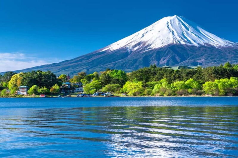 Tokyo: Mt. Fuji 5th Station, Kawaguchiko Tour w/ Cable Car - The Complete Experience: What to Expect