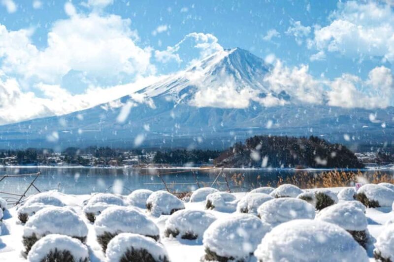 Tokyo: Mt. Fuji & 6 Must-See Spots: Oshino & Lake Kawaguchi - A Deep Dive into the Itinerary: Why Each Spot Matters