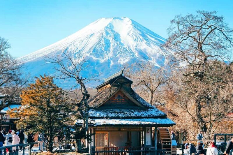 Tokyo: Mt. Fuji & 6 Must-See Spots: Oshino & Lake Kawaguchi - Final Thoughts