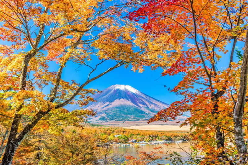 Tokyo: Mt Fuji 6 Scenic Spots - Lake Yamanaka, Oshino Hakkai - Exploring Honcho Street: Traditional Charm with Retro Vibes