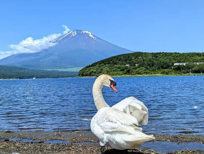 Tokyo: Mt Fuji 6 Scenic Spots - Lake Yamanaka, Oshino Hakkai - Lake Yamanaka & Hirano Beach: The Perfect Wind-Down