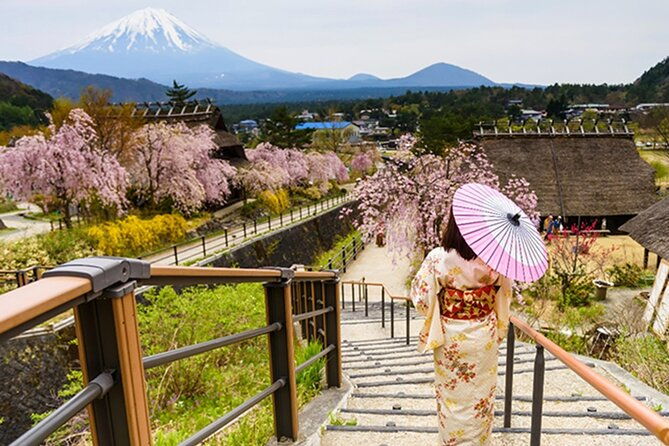 tokyo-mt-fuji-and-lake-kawaguchi-1-day-luxury-bus-tour