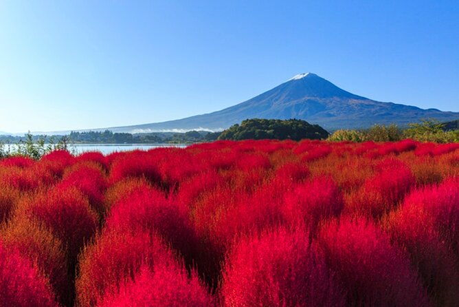 tokyo-mt-fuji-and-lake-kawaguchi-1-day-luxury-bus-tour