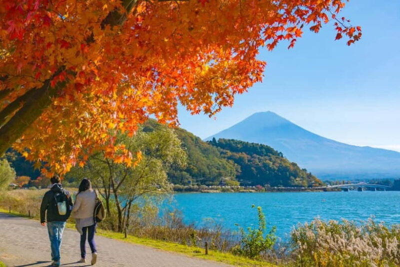 Tokyo: Mt.Fuji and Lake Kawaguchiko Tour with Lunch - An In-Depth Look at the Tour Itinerary and Highlights