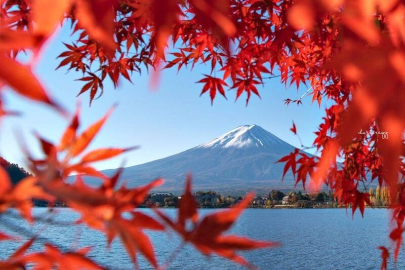 tokyo-mt-fuji-arakura-sengen-park-oshino-hakkai-bus-tour
