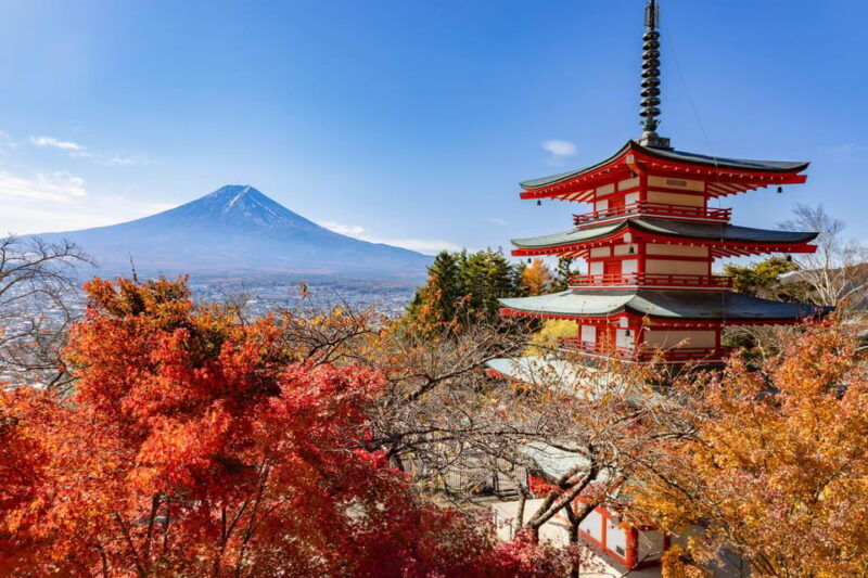 tokyo-mt-fuji-arakurayama-sengen-park-oshino-hakkai-tour