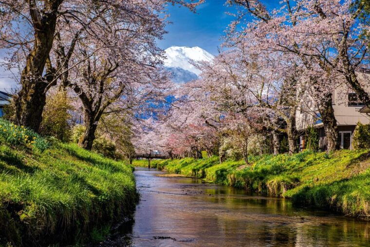 tokyo-mt-fuji-arakurayama-sengen-park-oshino-hakkai-tour