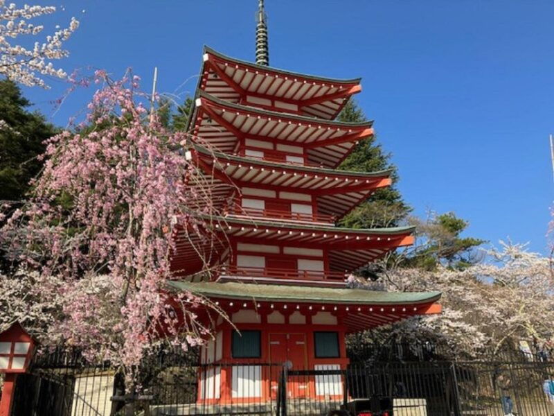 tokyo-mt-fuji-area-guided-tour-with-traditional-lunch