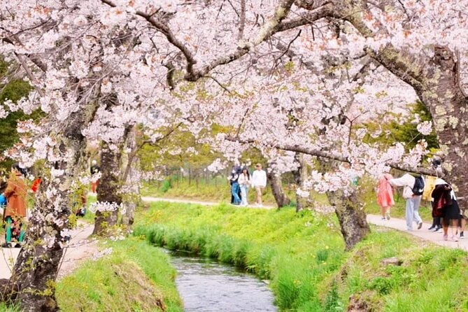 tokyo-mt-fuji-area-oshino-hakkai-kawaguchi-lake-day-trip-2