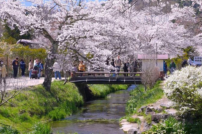 tokyo-mt-fuji-area-oshino-hakkai-kawaguchi-lake-day-trip-2
