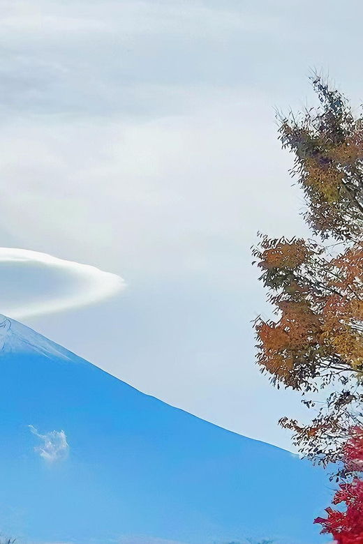 tokyo-mt-fuji-cherry-blossom-daytrip-yamanaka-hot-spring