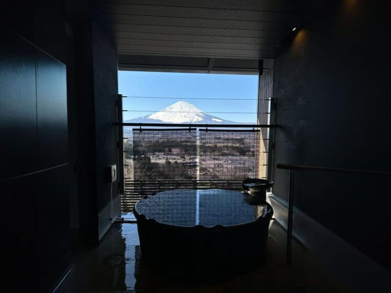 tokyo-mt-fuji-cherry-blossom-daytrip-yamanaka-hot-spring