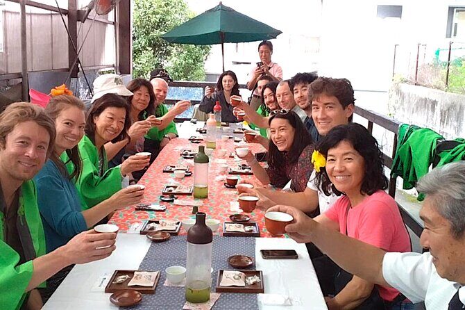 Tokyo: Mt. Fuji Cherry Blossoms and Tea picking Tour - A Detailed Look at the Itinerary