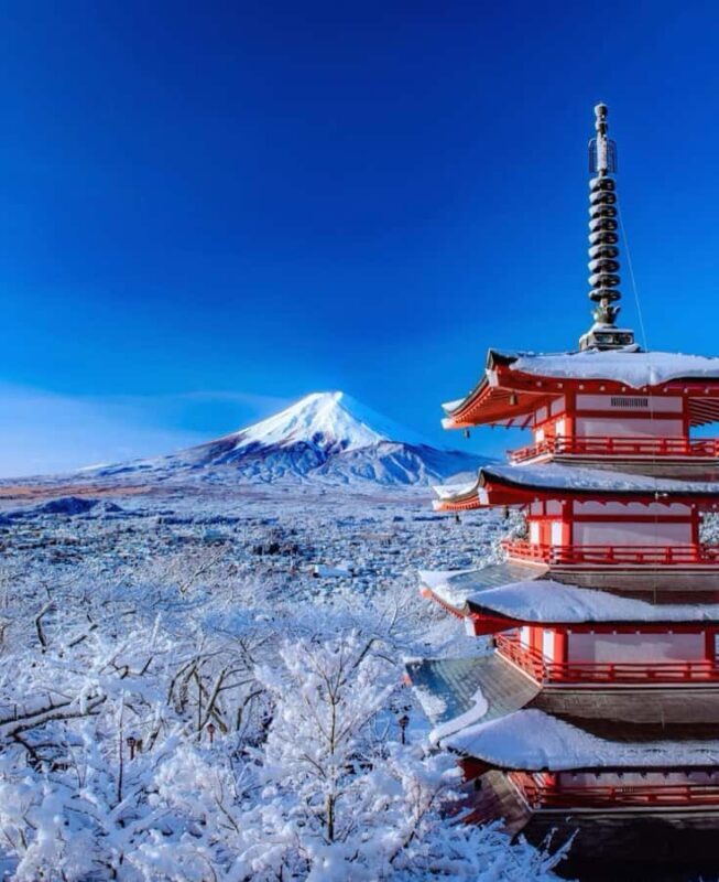 Tokyo: Mt Fuji Chureito Pagoda Lake Kawaguchi&Oshino Hakkai - Key Points