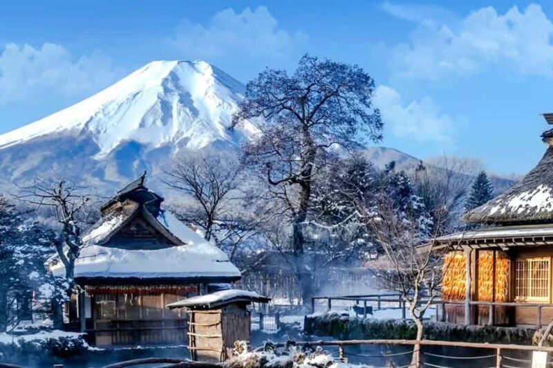 Tokyo: Mt Fuji Chureito Pagoda Lake Kawaguchi&Oshino Hakkai - Who Is This Tour Best For?