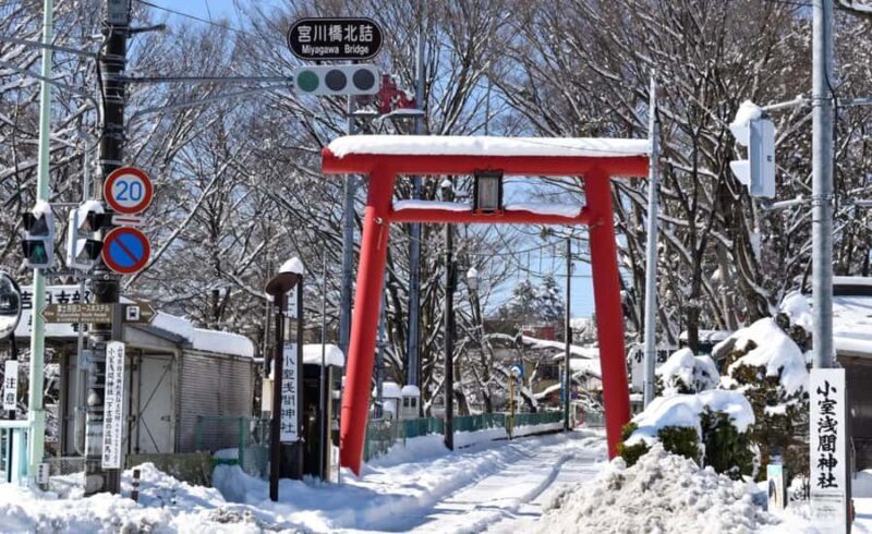 Tokyo: Mt Fuji Chureito Pagoda Lake Kawaguchi&Oshino Hakkai - FAQ