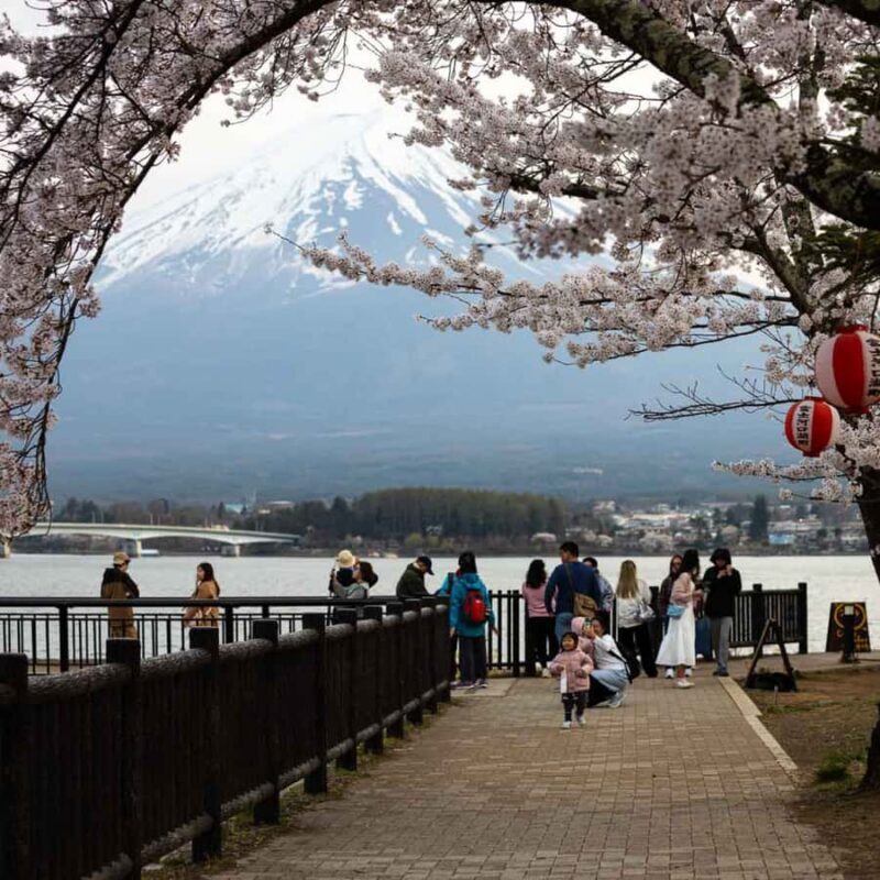 Tokyo: Mt Fuji Customizable Private Tour By English Driver - Transportation and Comfort: Traveling in Style