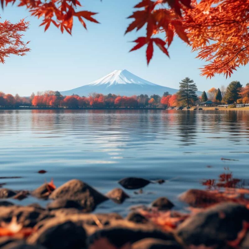 Tokyo: Mt Fuji Customizable Private Tour By English Driver - Who Will Love This Tour?