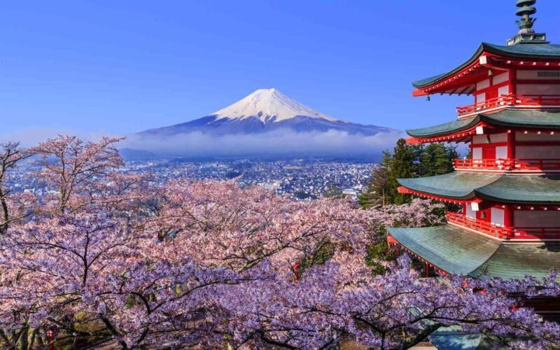 Tokyo: Mt. Fuji & Hakone Cherry Blossoms Private Day Tour - An In-Depth Look at the Tour Experience