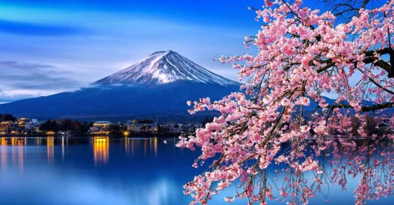 Tokyo: Mt. Fuji & Hakone Cherry Blossoms Private Day Tour - Transportation and Practicalities