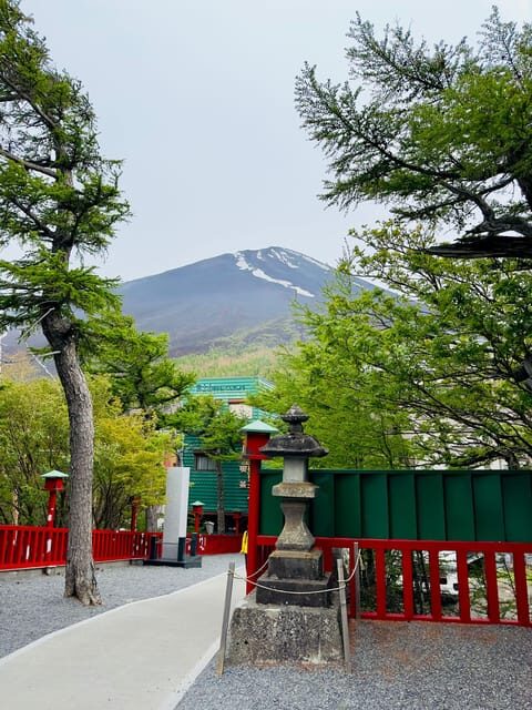 Tokyo: Mt. Fuji & Hakone Cherry Blossoms Private Day Tour - Frequently Asked Questions