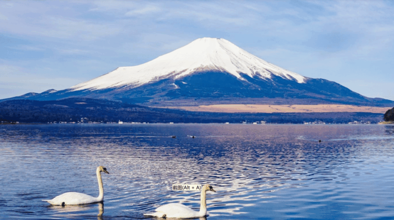 tokyo-mt-fuji-hakone-cruise-ropeway-oshino-hakkai-tour