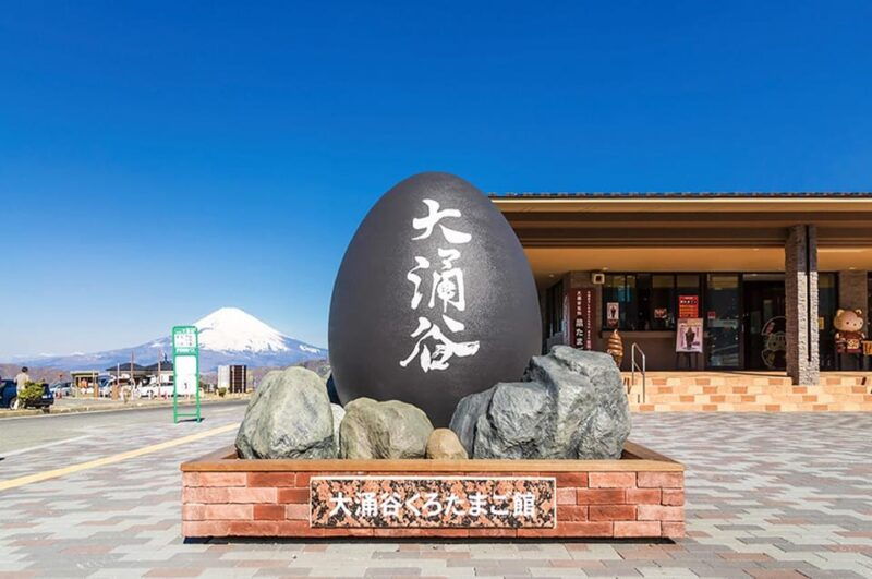 tokyo-mt-fuji-hakone-cruise-ropeway-oshino-hakkai-trip