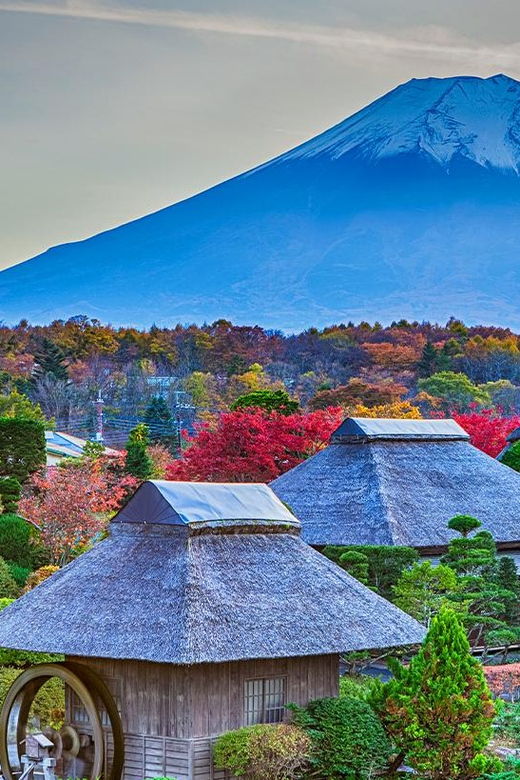 tokyo-mt-fuji-hakone-cruise-ropeway-oshino-hakkai-trip