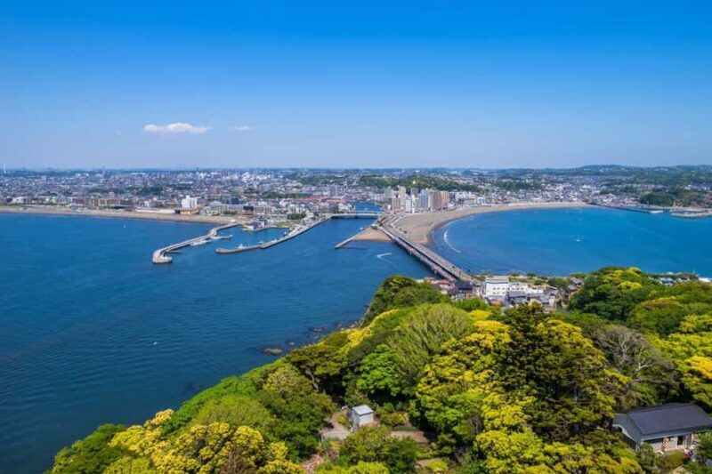 Tokyo: Mt Fuji & Hakone & Enoshima Tour, Owakudani Ropeway - Final Thoughts: Who Will Love This Tour?