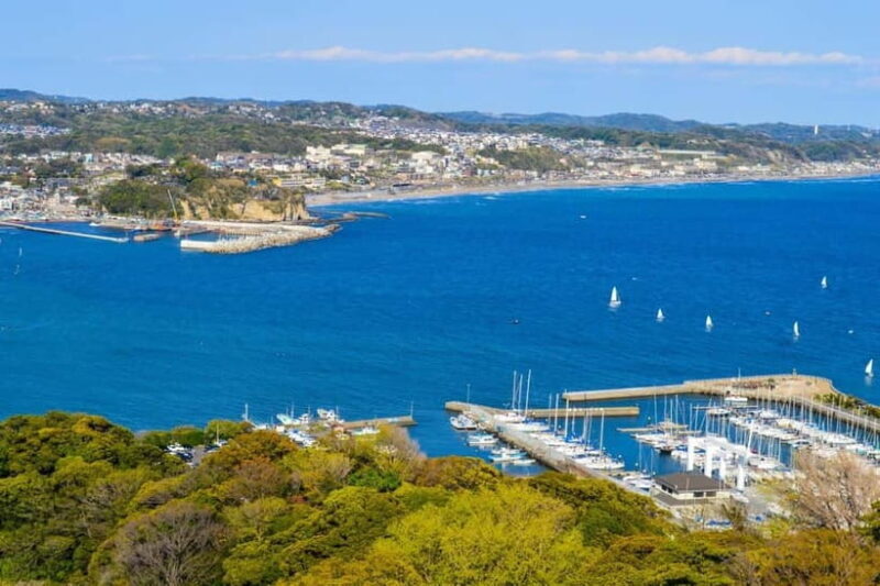 Tokyo: Mt. Fuji & Hakone, FREE Pirate Ship & Ropeway - Final Thoughts