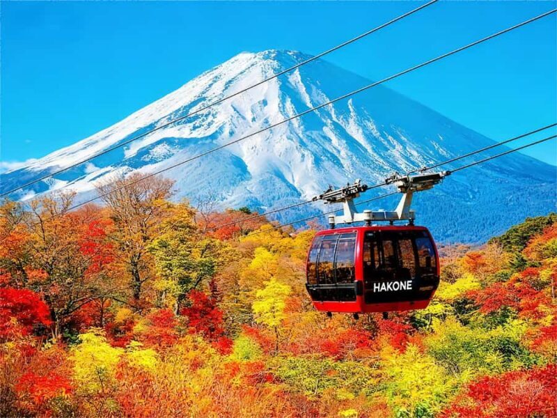 Tokyo: Mt Fuji & Hakone Ninja Cruises & Ropeway Tour - The Itinerary in Detail: What to Expect