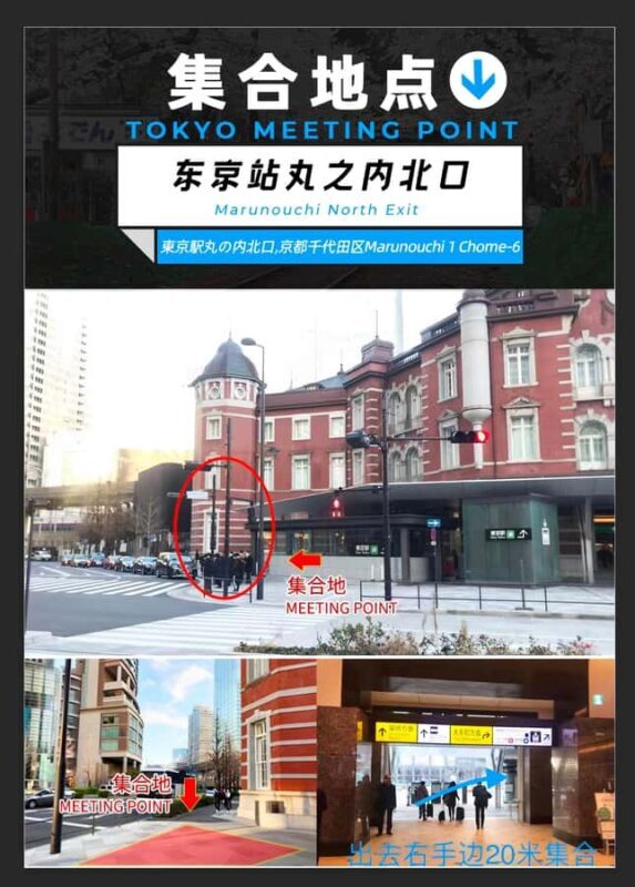 Tokyo: Mt Fuji & Hakone Ninja Cruises & Ropeway Tour - Why This Tour Works for Different Travelers