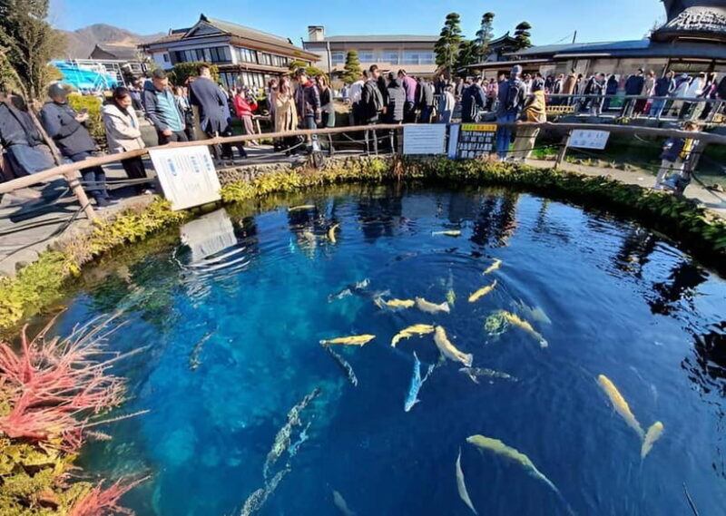 Tokyo: Mt. Fuji & Hakone Private Custom Tour English Driver - Frequently Asked Questions