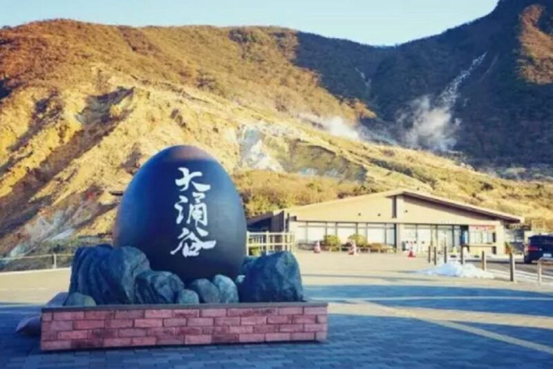 tokyo-mt-fuji-hakone-ropeway-and-owakudani-valleyday-tour