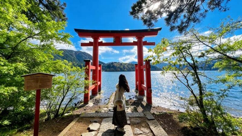 Tokyo: Mt. Fuji, Hakone Ropeway, Owakudani & Lake Ashi Tour - Key Points