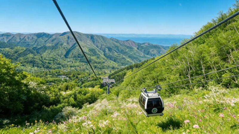 Tokyo: Mt. Fuji, Hakone Ropeway, Owakudani & Lake Ashi Tour - FAQ