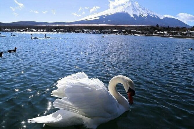 Tokyo Mt. Fuji Hakone Shrine, Owakudani, Lake Yamanakai Day Tour - Final Thoughts: Is This Tour Right for You?