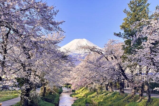 Tokyo Mt. Fuji Hakone Shrine, Owakudani, Lake Yamanakai Day Tour - FAQ