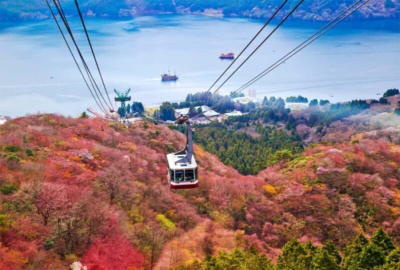 Tokyo Mt. Fuji & Hakone,Lake Ashi FREE Pirate Ship+Cable Car - Yamanakako Swan Beach and Oshino Hakkai