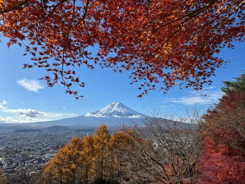 Tokyo: Mt. Fuji Highlights Tour with Lake Kawaguchi Cruise - Exploring the Itinerary in Depth