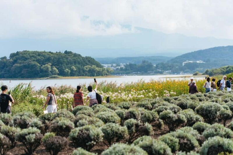 Tokyo: Mt. Fuji, Kamakura, Big Buddha, & Lake Ashi Day Trip - Final Thoughts