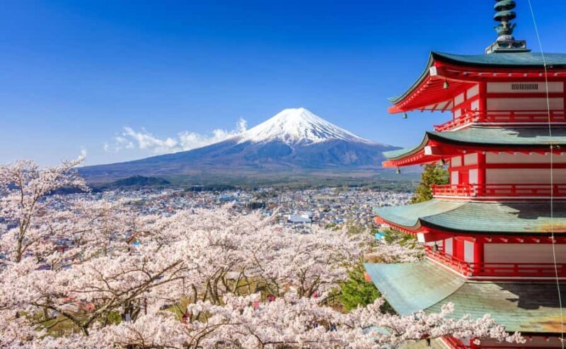Tokyo: Mt. Fuji, Kawagoe, & Hikawa Shrine Day Trip - Key Points