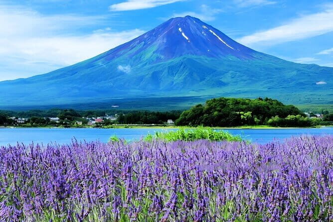 Tokyo Mt Fuji Kawaguchi and Yamanaka Onsen Tour with Pick up - Oishi Park – The Perfect Photo Spot
