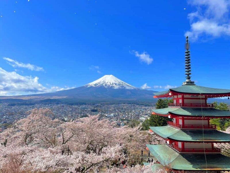 Tokyo: Mt Fuji, Lake Cruise and Noodles Making Experience - Key Points