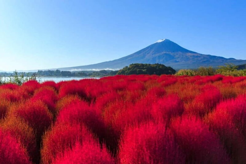 Tokyo: Mt. Fuji & Lake Kawaguchi 3-Row Luxury Bus 1-Day Tour - Exploring the Mt. Fuji & Lake Kawaguchi 3-Row Luxury Bus Tour: An Honest Look