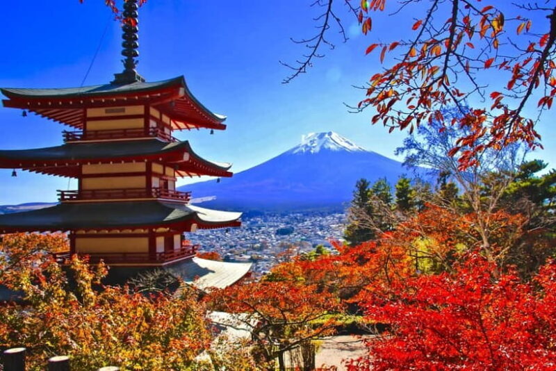 Tokyo: Mt. Fuji & Lake Kawaguchi 3-Row Luxury Bus 1-Day Tour - Analyzing the Cost and Value