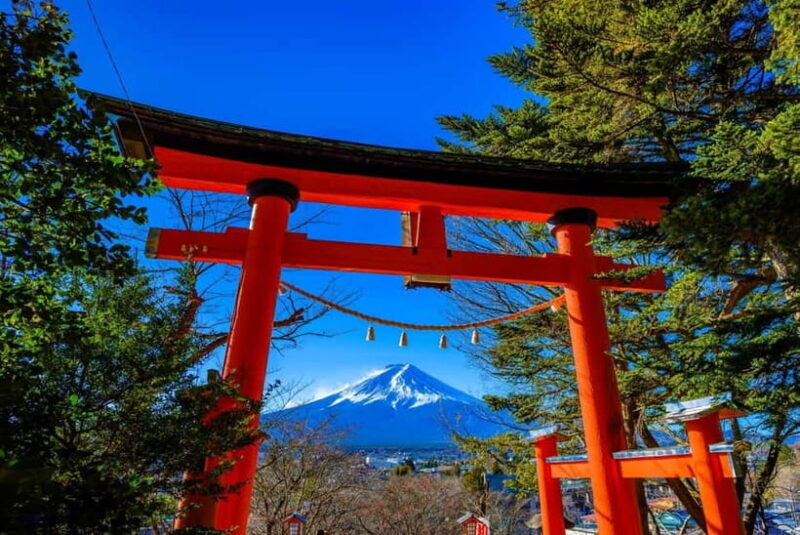 Tokyo: Mt. Fuji & Lake Kawaguchi 3-Row Luxury Bus 1-Day Tour - Who is This Tour Best Suited For?